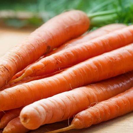 Wortel Sedap